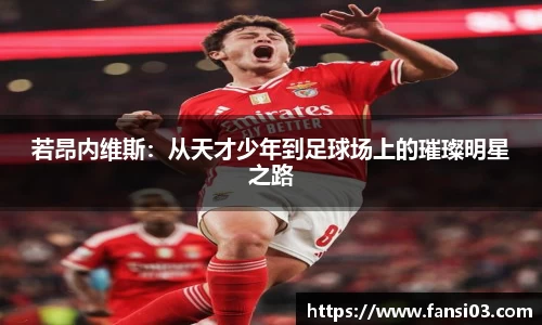 好博(中国)体育
